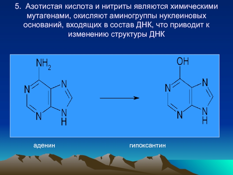 Аденину в днк соответствует