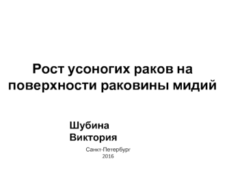 Рост усоногих раков на поверхности раковины мидий