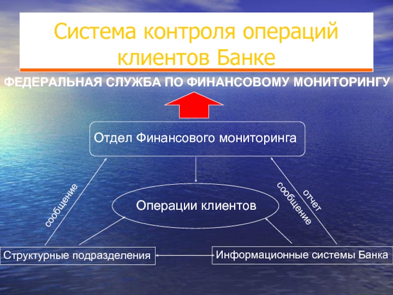 Мониторинг операций. Система финансового мониторинга. Служба финансового мониторинга в банке. Подразделения финансового мониторинга. Отдел мониторинга банка это.