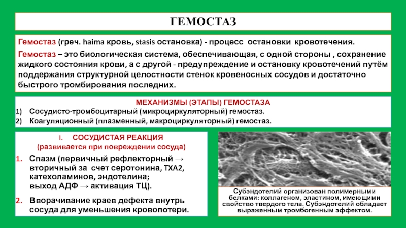 Гемостаз это. Гемостаз. Виды гемостаза. Гемостаз остановка кровотечения. Гемостаз это простыми словами.