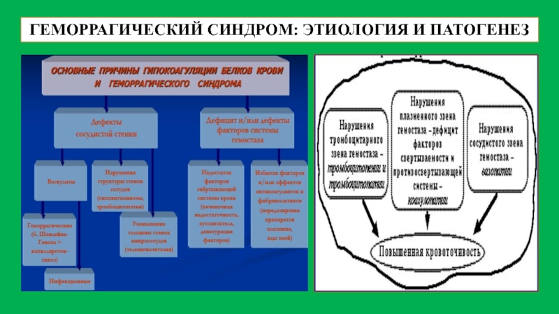 Геморрагический синдром этиология. Этиология и патогенез геморрагических синдромов.. ДВС синдром этиология патогенез.