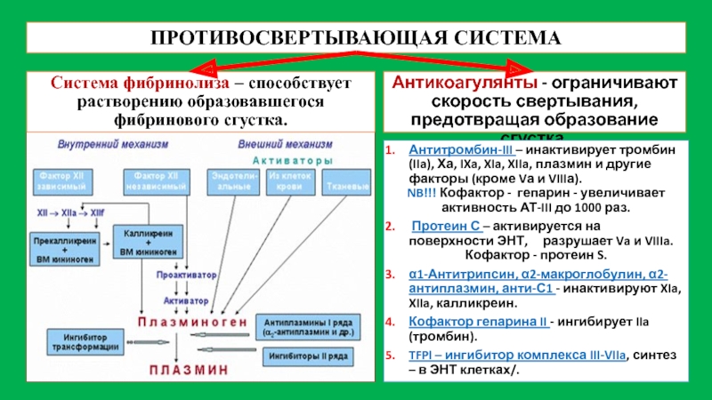 Свертывающая и противосвертывающая система крови презентация