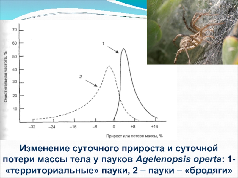 Изменение суточных. Суточный прирост льда. Суточные изменения вертикального профиля. Если у животных суточные изменения. Прирост и потеря мaссы самок.