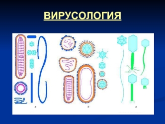 ВИРУСОЛОГИЯ