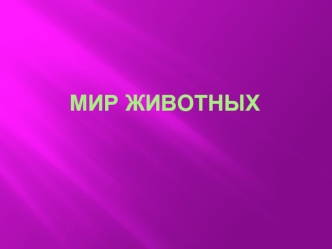 Мир животных