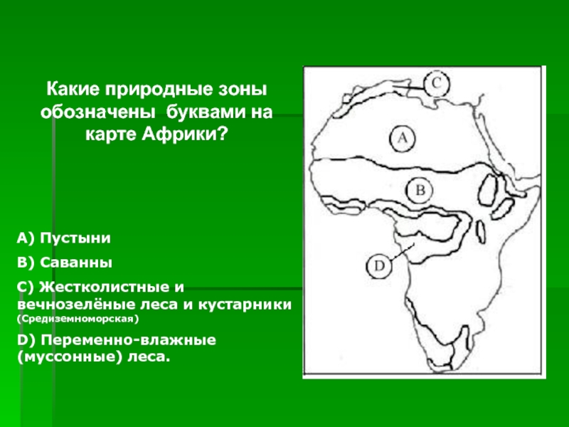 Природные зоны африки на контурной карте