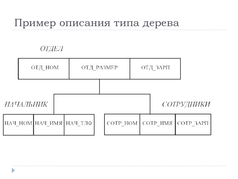 Модель представления данных в виде таблиц. Типология баз данных.