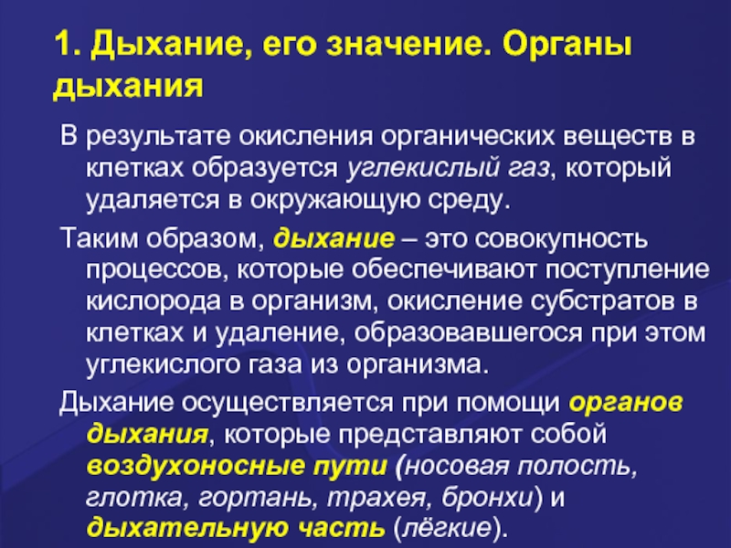 Роль дыхания в организме. Органы дыхания важность. Значение органов дыхания. Дыхание значение дыхания. Значение системы органов дыхания.