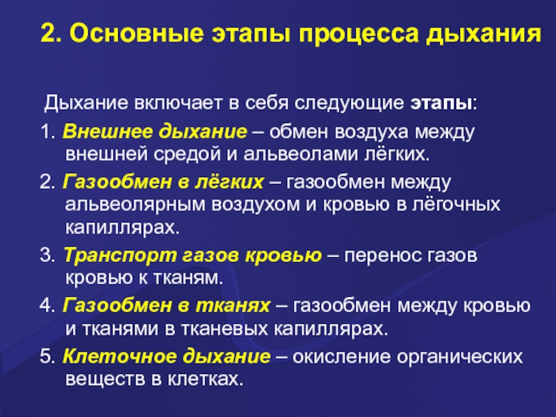 Включи дыхательную. Основные этапы процесса дыхания. Важнейший этап процесса дыхания. Основные этапы дыхания и газообмена. Выберите стадии процессов дыхания.