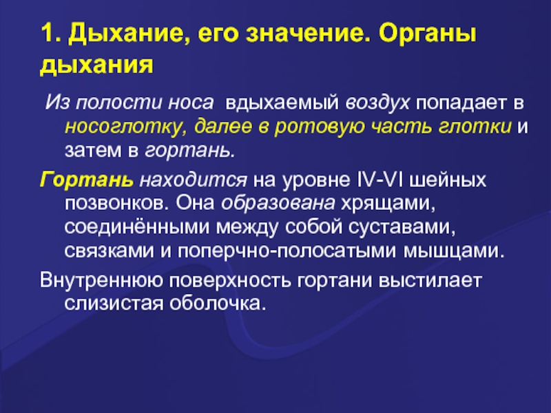 Дыхание и его значение органы дыхания. Дыхание и его значение. Значение дыхательной системы человека. Каково значение органов дыхания.