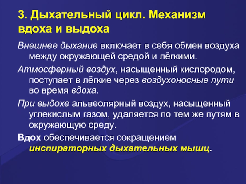 Обмен воздуха. Механизм вдоха и выдоха. Механизм акта вдоха и выдоха. Дыхание механизм вдоха и выдоха. Механизм внешнего дыхания.