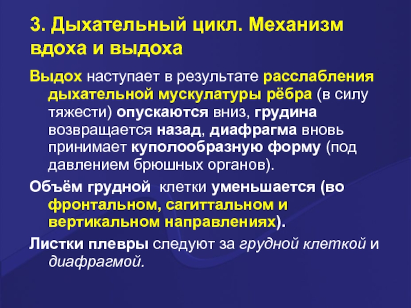 Дыхательный механизм. Дыхательный цикл механизм вдоха и выдоха. Механизм дыхательного цикла. Дыхательный цикл вдох и выдох. Дыхательный цикл таблица.