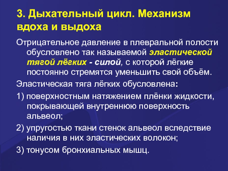 Дыхательный цикл. Отрицательное давление в плевральной полости. Эластическая тяга легких. Основные составляющие эластической тяги легких. Эластическая тяга легких обусловлена.