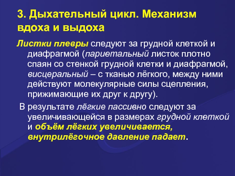 Цикл дыхания. Пассивный цикл дыхания. События дыхательного цикла. Ткань циклы. Ткань того цикл.