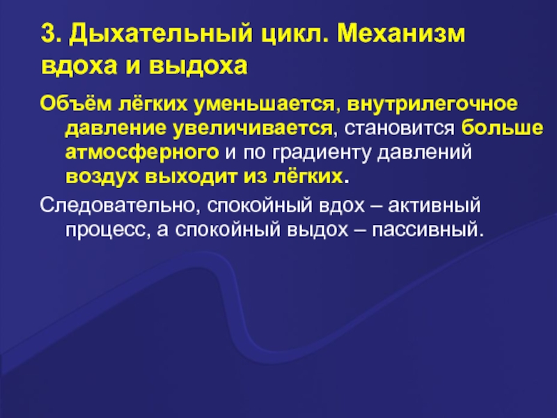 Цикл дыхания. Механизм активного и пассивного вдоха и выдоха. Механизм дыхательного цикла. Вдох пассивный выдох активный. Элементы дыхательного цикла.