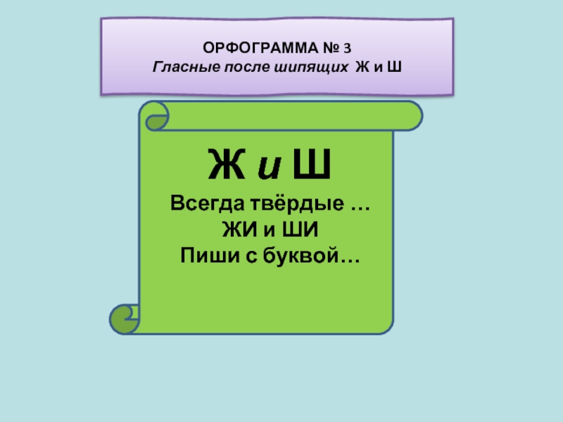 В каких словах ж ш пишется ю