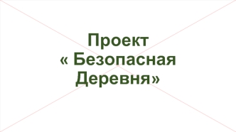 Проект безопасная деревня