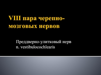 VIII пара черепно-мозговых нервов. Преддверно-улитковый нерв n. vestibulocochlearis