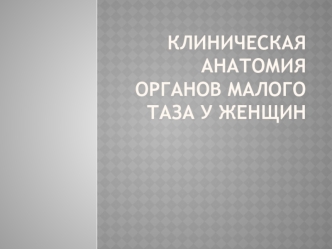 Клиническая анатомия органов малого таза у женщин