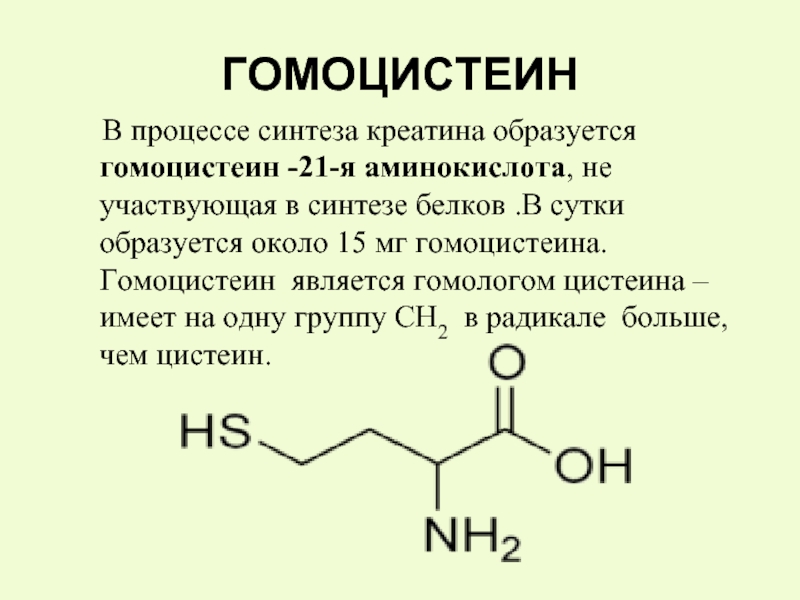 Гомоцистеин повышен