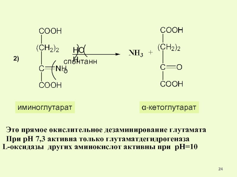 Кетоглутарат