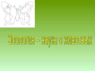 Зоология – наука о животных