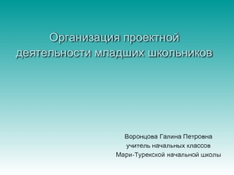 Организация проектной деятельности младших школьников