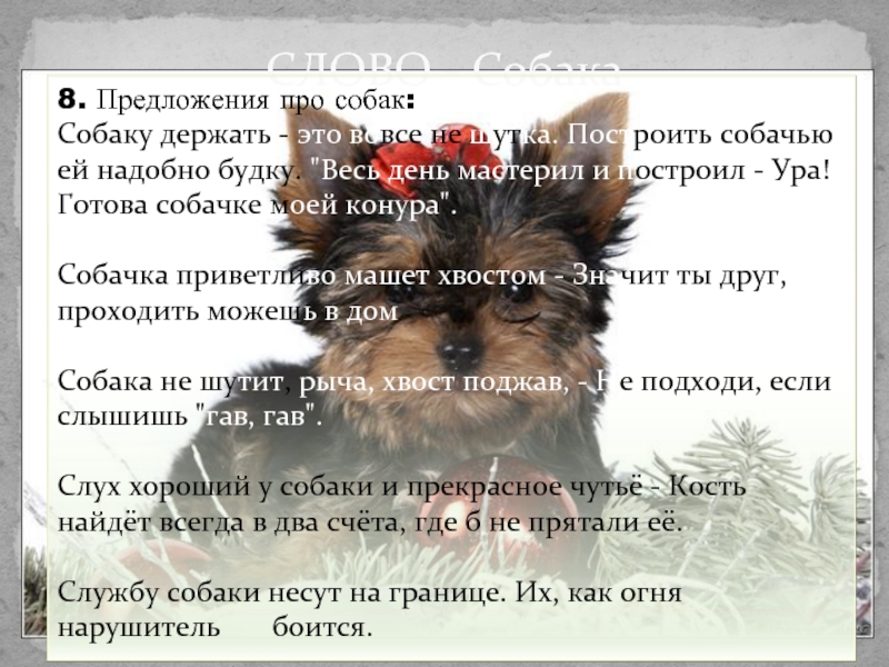 Слово dog