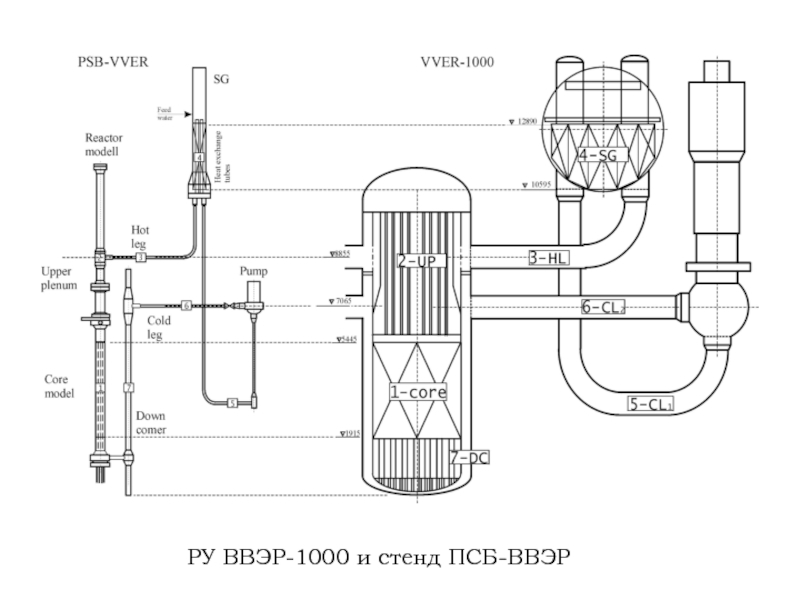 Схема реактора ввэр 1000