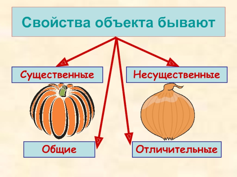 Существенные свойства предметов