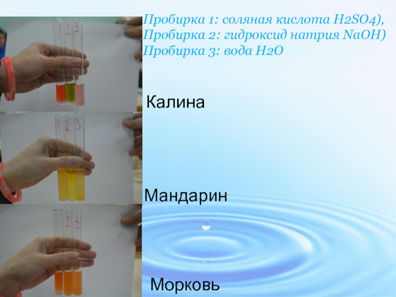 Даны две пробирки с раствором ацетата бария. Пробирка с соляной кислотой. Соляная кислота в пробирке. Гидроксид натрия индикатор. Гидроксид натрия в пробирке.