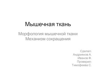 Мышечная ткань. Морфология мышечной ткани. Механизм сокращения