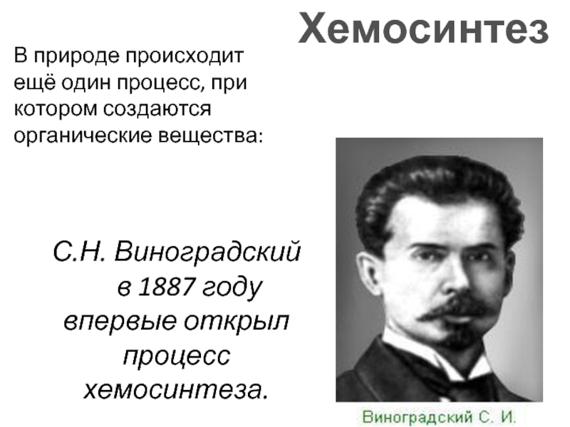 Хемосинтез происходит. Открытие хемосинтеза с.н Виноградским. Хемосинтез в природе. Ученый открывший процесс хемосинтеза. Процесс хемосинтеза.