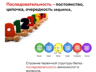 Последовательность – постоянство, цепочка, очередность sequence, succession