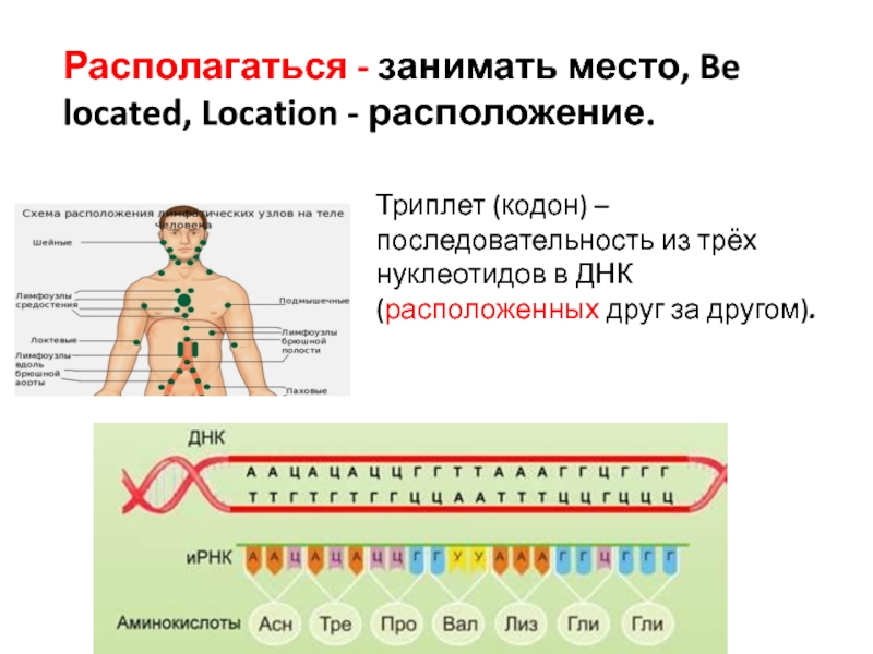 Триплеты знаки препинания