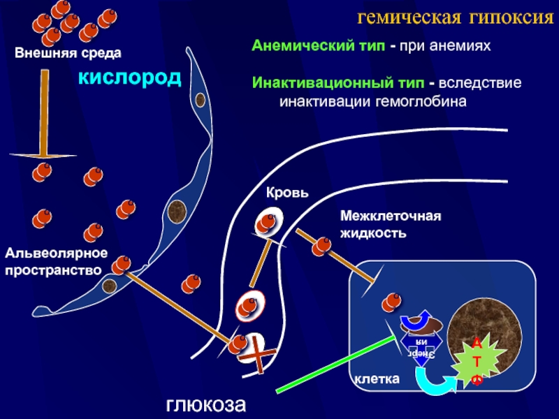 Артериальная гипоксия. Механизм развития гемической гипоксии. Гемическая гипоксия патогенез схема. Гемическая (кровяная) гипоксия. Кровяная гипоксия механизм развития.