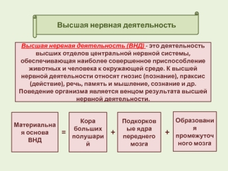 Высшая нервная деятельность