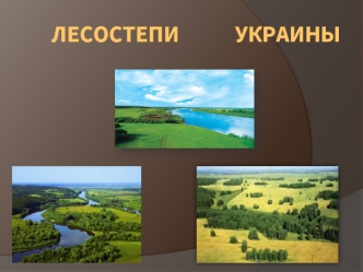 Лесостепи Украины