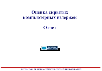 Оценка скрытых компьютерных издержек 

Отчет