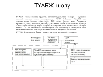 ТҮАБЖ шолу