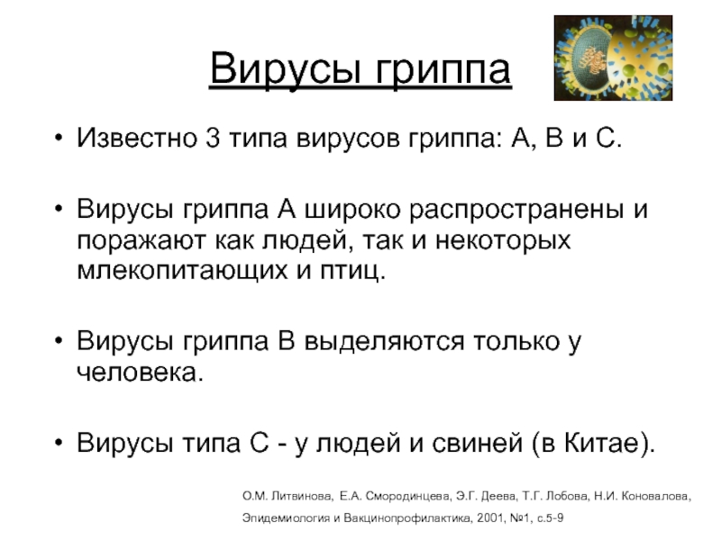Вирусы гриппаИзвестно 3 типа вирусов гриппа: А, В и С.Вирусы гриппа А широко распространены и