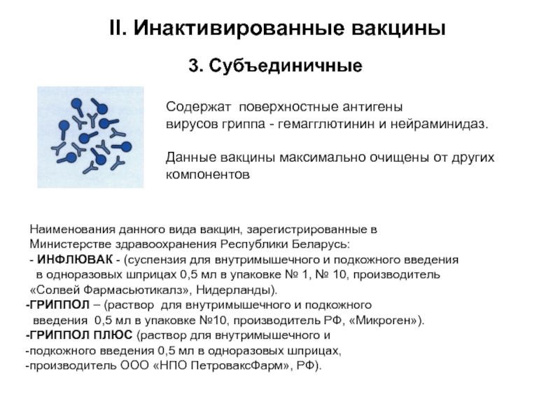 3. СубъединичныеСодержат поверхностные антигены вирусов гриппа - гемагглютинин и нейраминидаз. Данные вакцины максимально очищены от