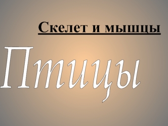 Скелет и мышцы