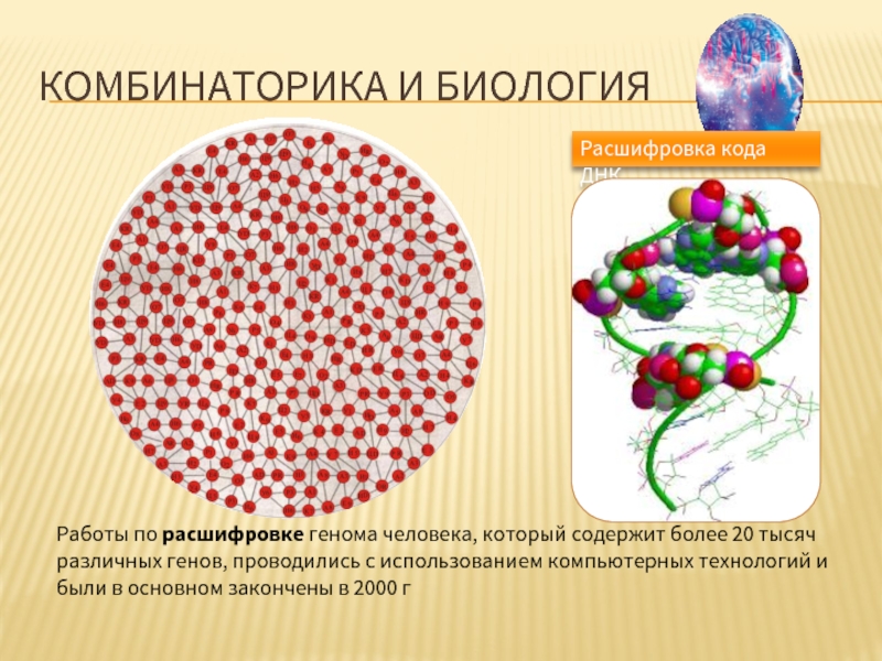 Презентация комбинаторика и вероятность 10 класс