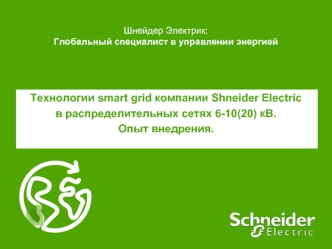 Шнейдер Электрик: Глобальный специалист в управлении энергией Технологии smart grid компании Shneider Electric в распределительных сетях 6-10(20) кВ. Опыт.