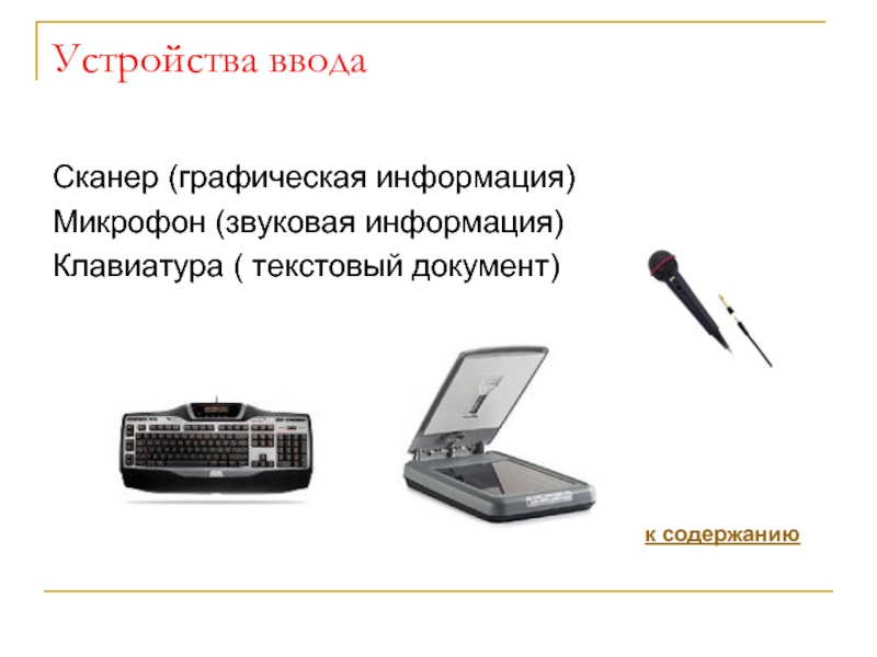 К устройствам ввода графической относится. Микрофон устройство ввода. Устройства ввода графической информации микрофон. Сканер функция устройства. Микрофон устройство вывода графической информации.