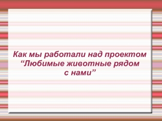 Как мы работали над проектом “Любимые животные рядом с нами”