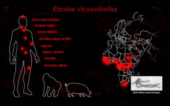 Ebolas vīrusslimība