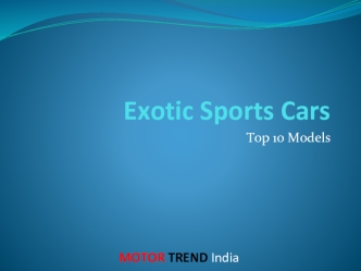 Exotic Sports Cars