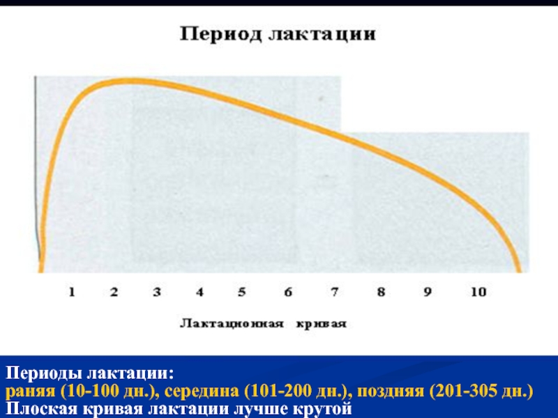 Сервис период. Лактационная кривая у коров. Кривая лактации. Лактационная кривая. Тип лактационной Кривой.